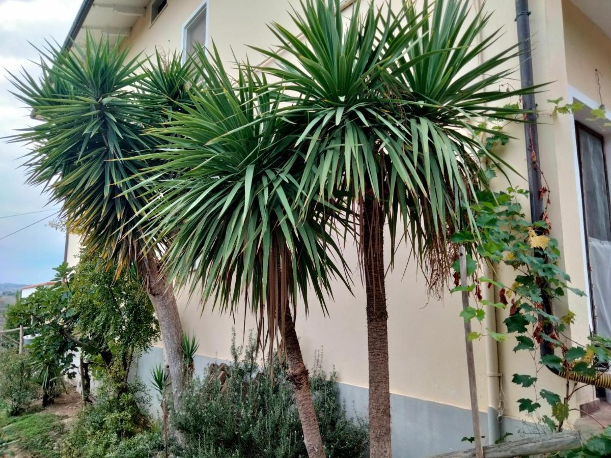 Casa Il Canto Tortoreto Eksteriør billede